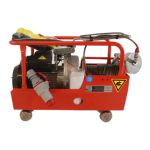 Electroguinche DM500CE 500 KG 220V MMQ