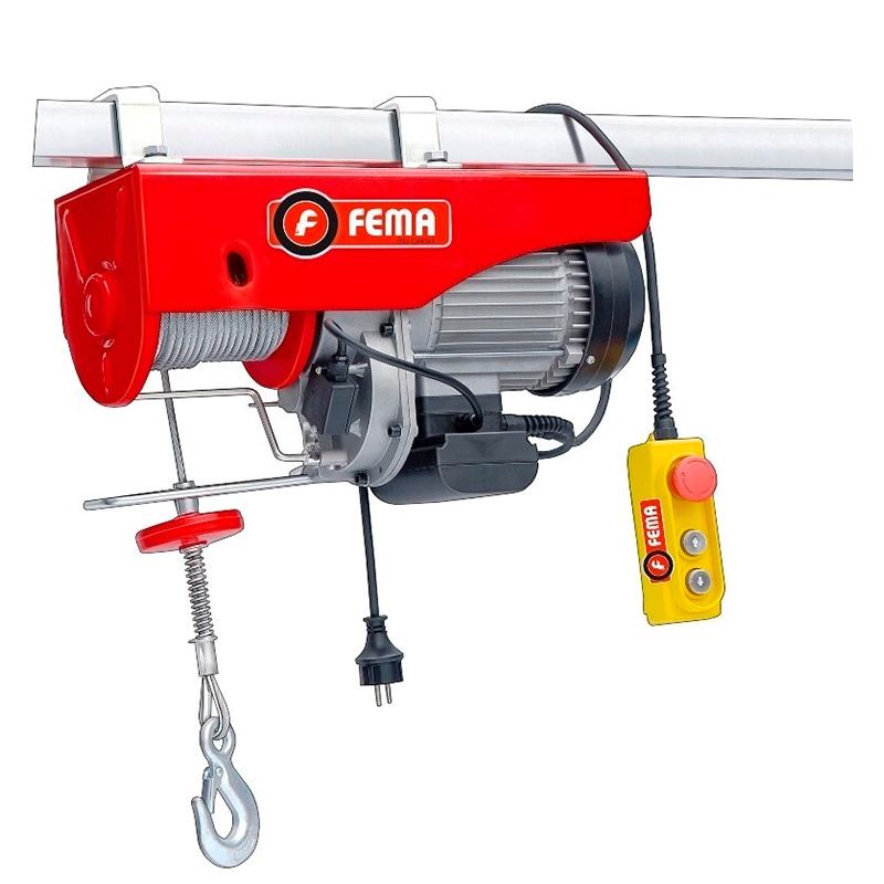 Elevador Eléctrico Doble Gancho FEMA 1000 Eco 1000/500 kg 6/12 m Elevador Eléctrico Doble Gancho FEMA 1000 Eco 1000/500 kg 6/12 m
