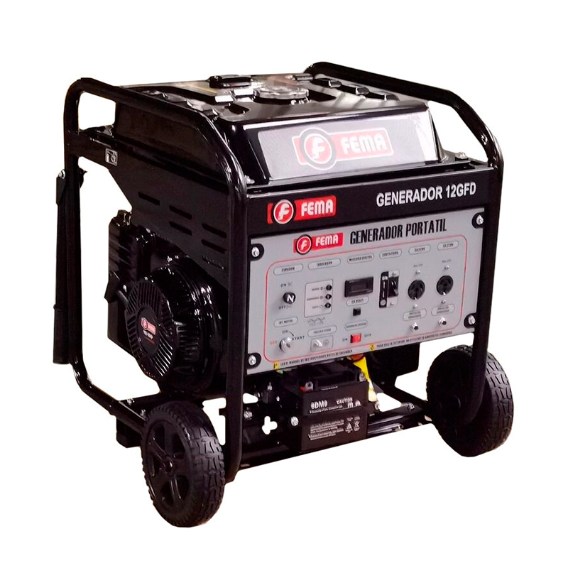 Generador Inverter 12GFD de 8 kW FEMA 1 Generador Inverter 12GFD de 8 kW FEMA